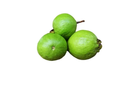 Fresh Premium Green Guavas